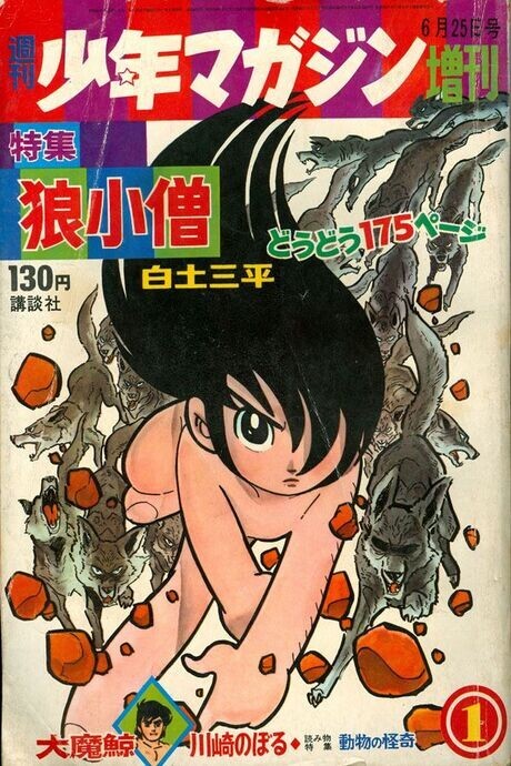 The Boy The Wolfs PT Cover Image