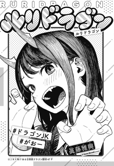 Ruridragon PT Cover Image