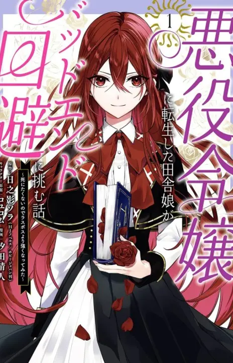 The Beginning After the End EN Cover Image