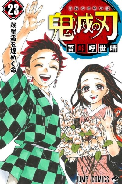 Demon Slayer FR Cover Image